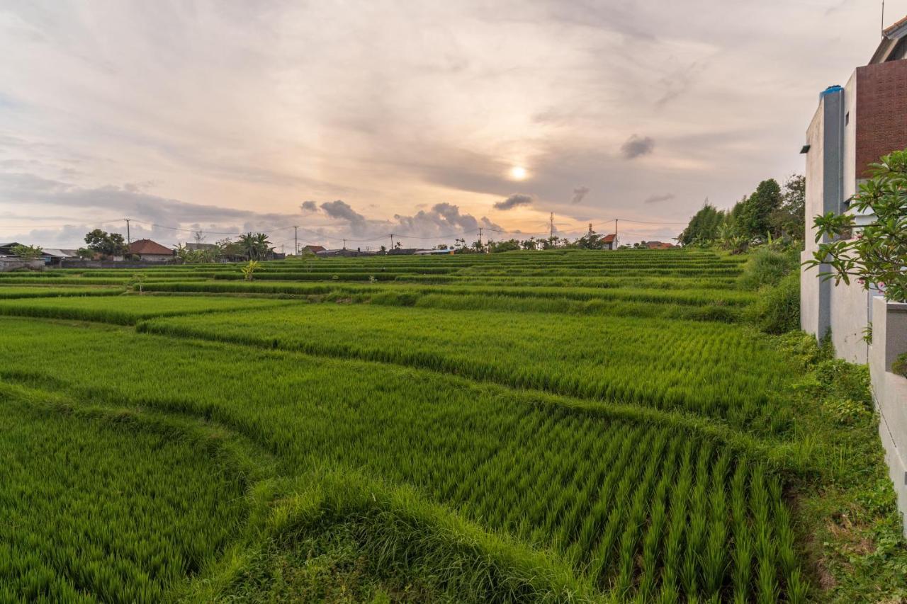 D'Macho Villas Ubud Dış mekan fotoğraf